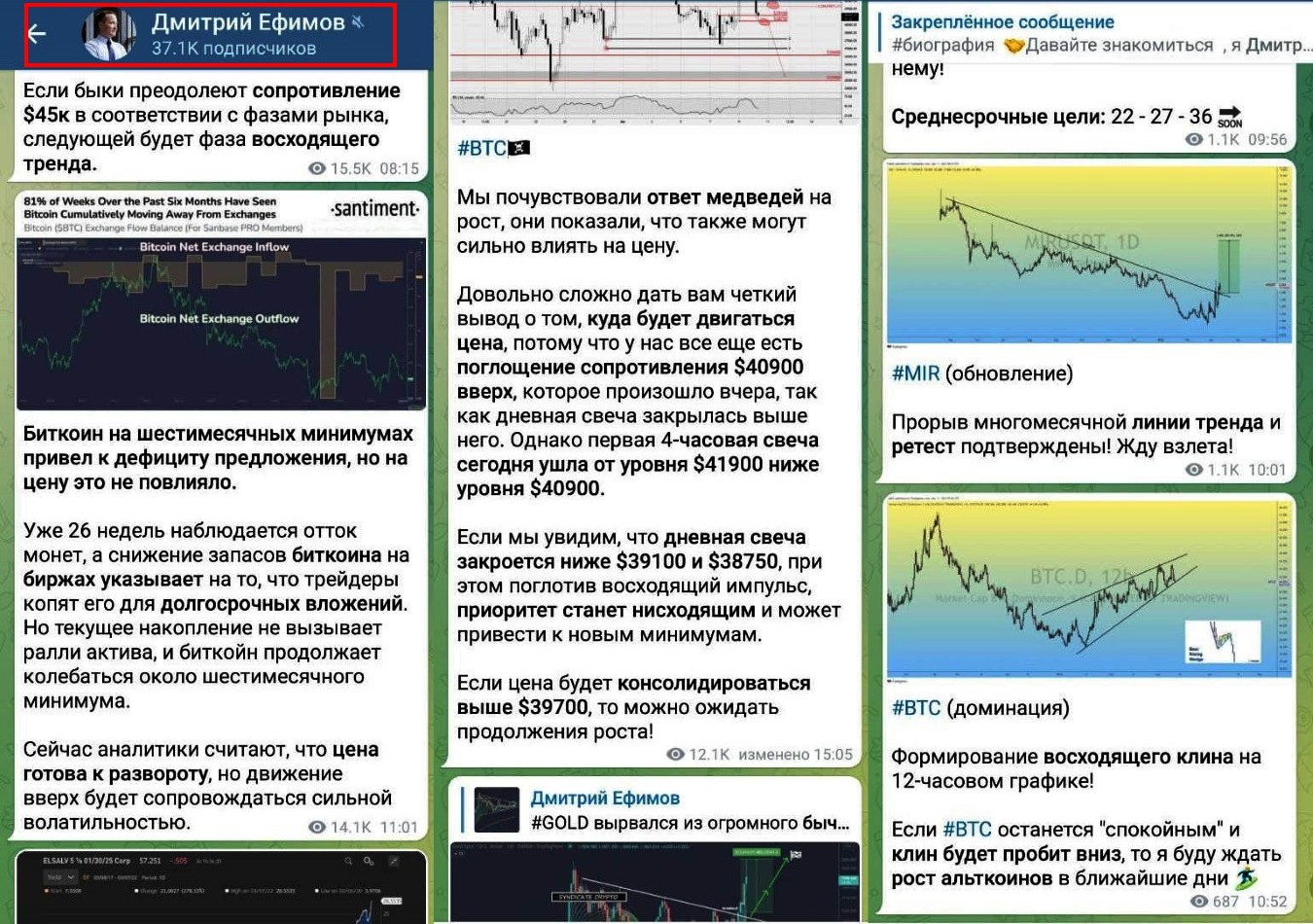 Day Profit Robot Дмитрий Ефимов