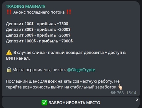 Trading Magnate депозит