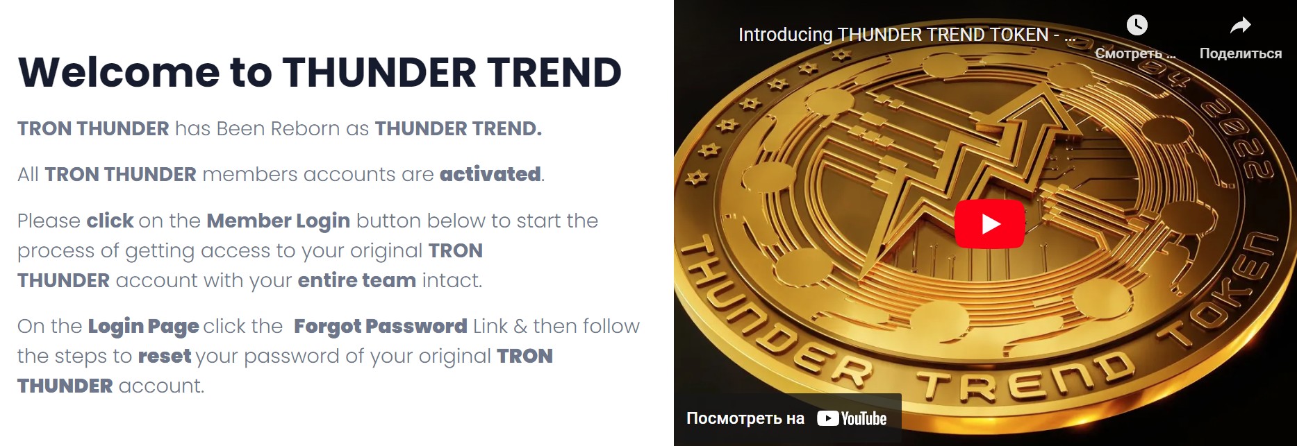 О проекте Thunder Trend