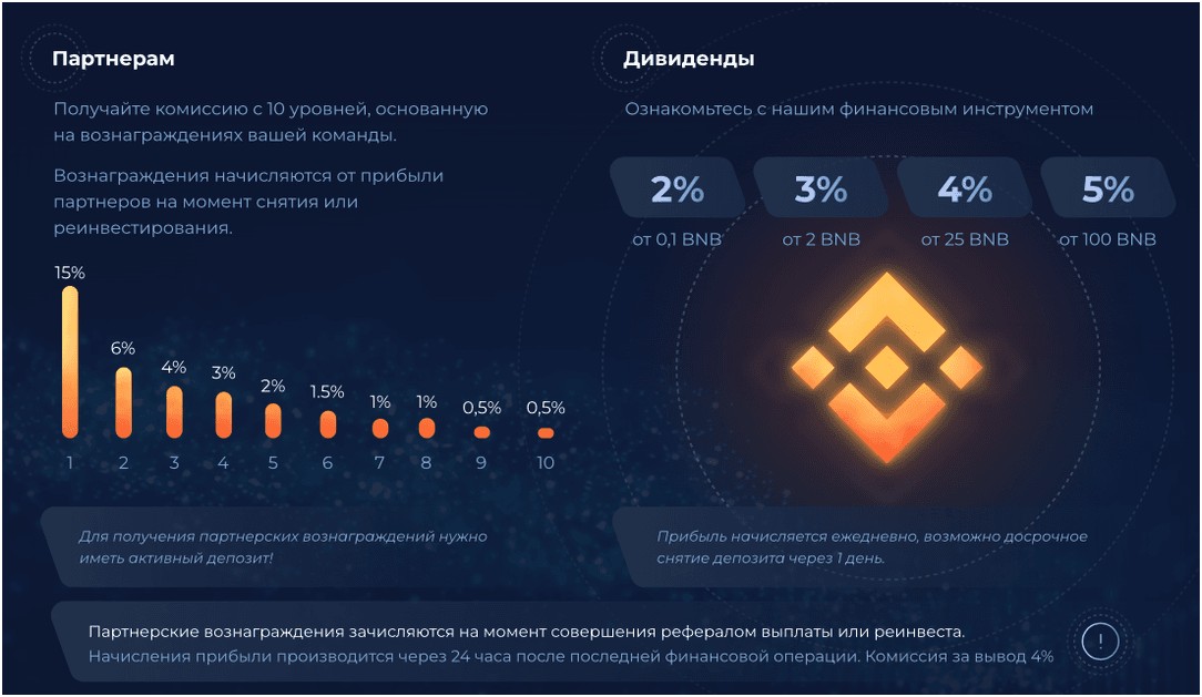 Дорудус условия проекта