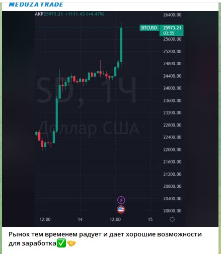 Медуза Трейд телеграм анализ рынка
