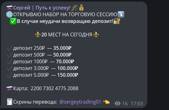 Обзор проекта Сергей Путь к успеху