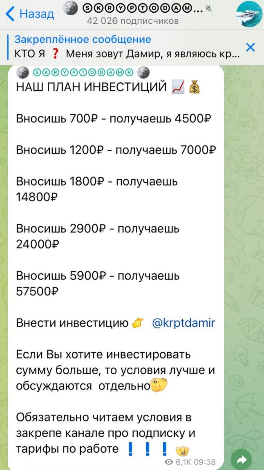 Skryptodamr условия инвестирования