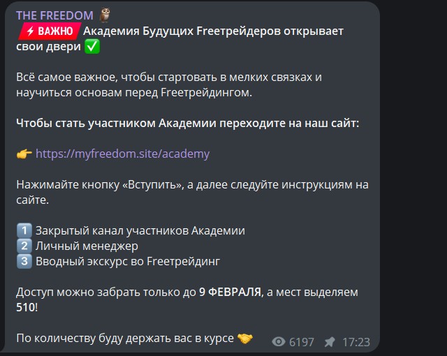 Телеграм THE FREEDOM обзор