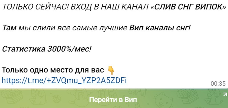 Телеграм Сливы Западных Трейдеров