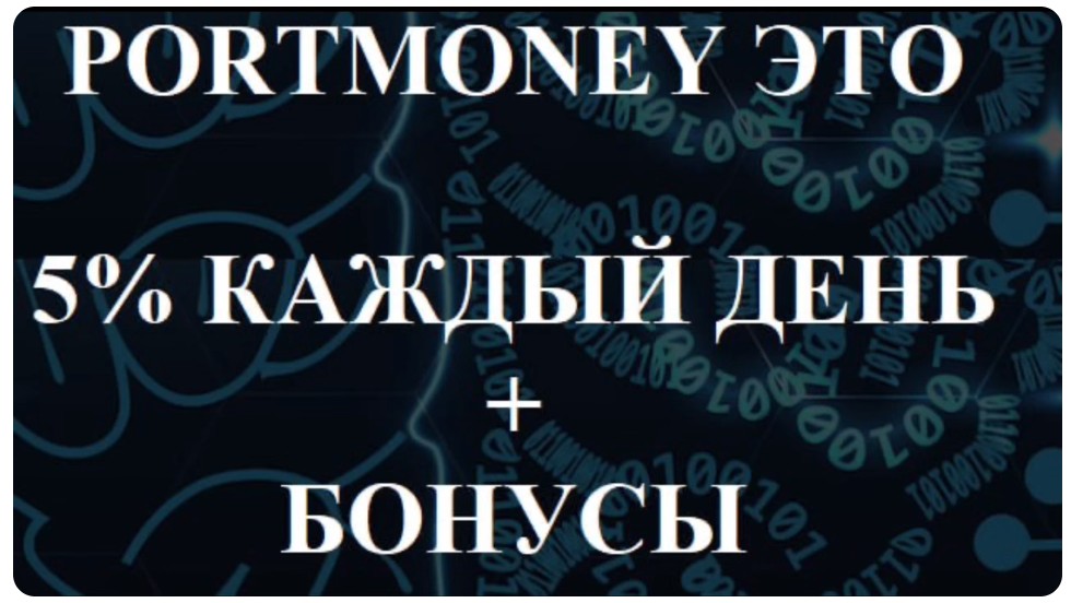 portmoney cash обзор