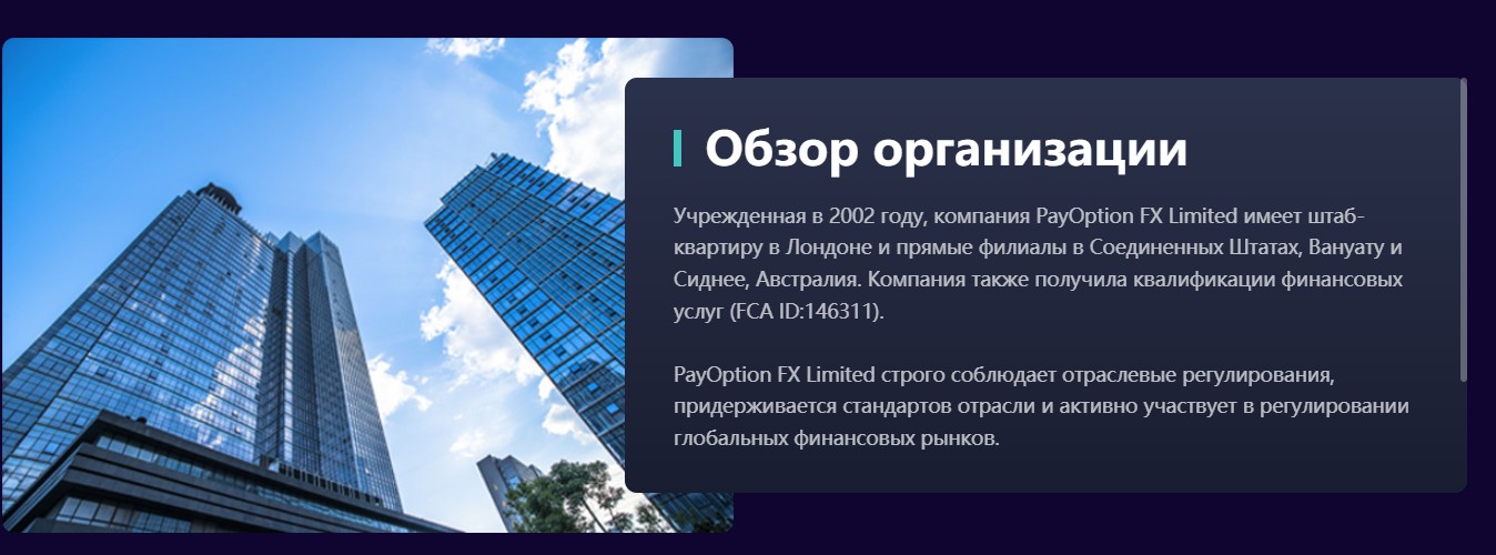 PayOption обзор брокера