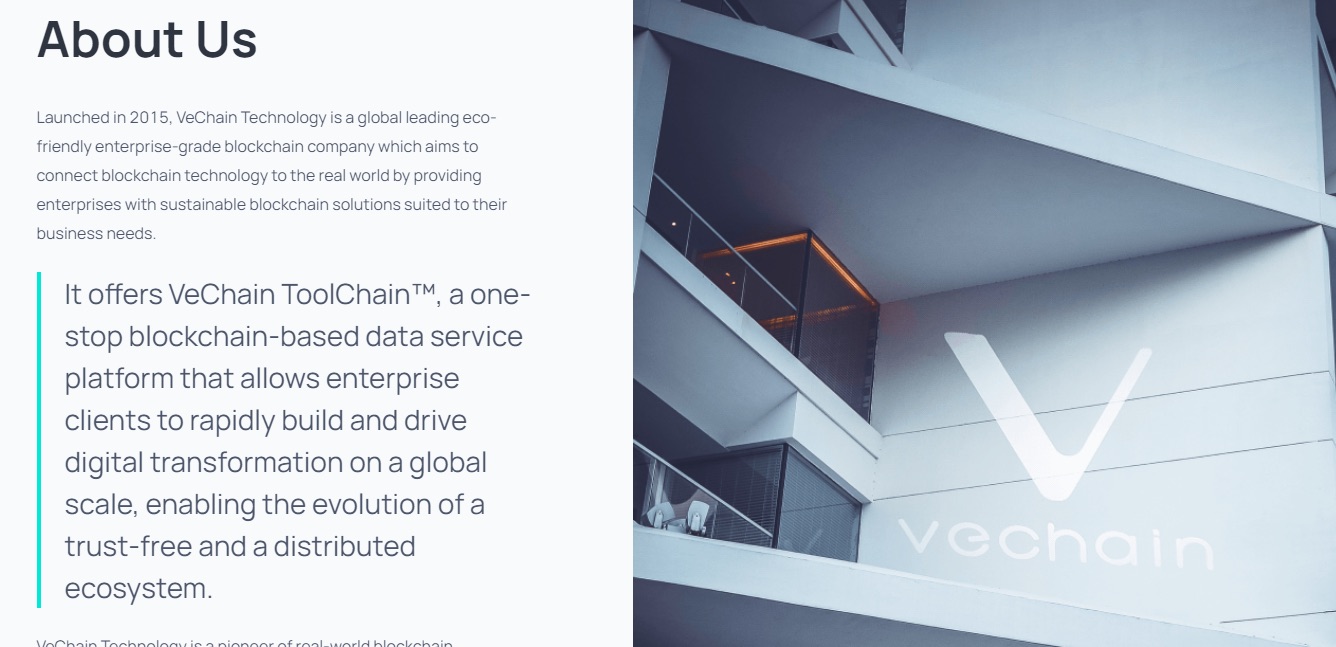 VeChain - описание