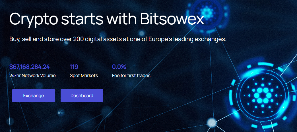 bitsowex com